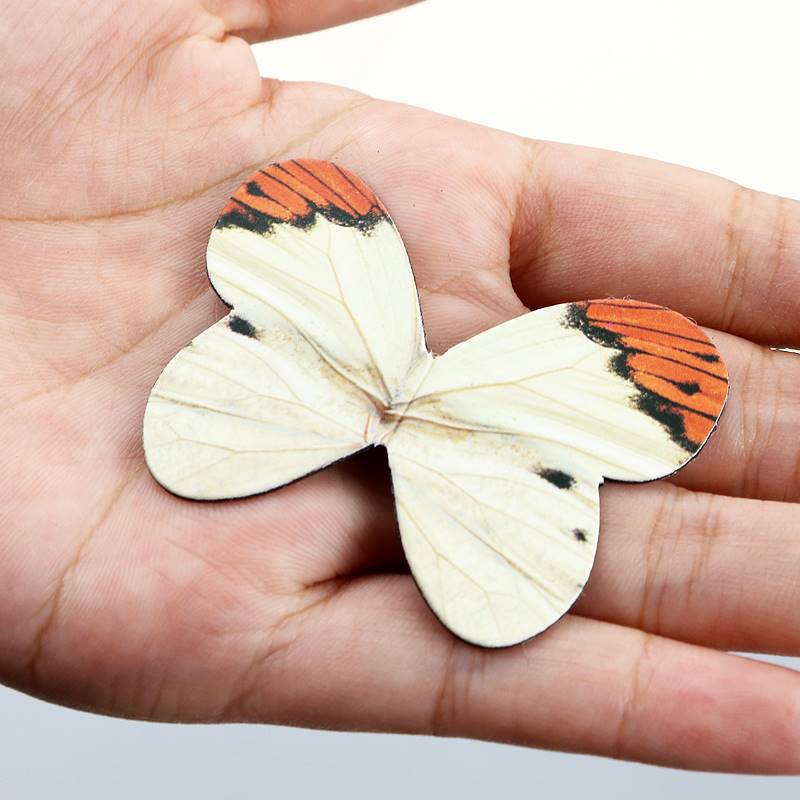 4pcs/Pack Beautiful Butterfly  – Bookmark Magnetic Clip Bewertung und Preis